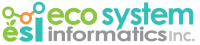 M & s informatics, inc