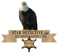 Star security detective agency