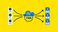 The department - managing your translations