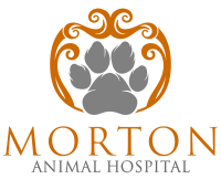 Morton Small Animal Clinic