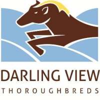 Darling view thoroughbreds