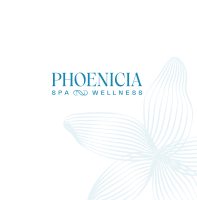 Phonica spa