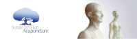 Susan scollon acupuncture