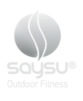 Saysu gmbh