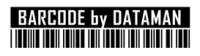 Dataman barcode systems