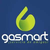 Organizacion gasmart