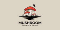 Highveld mushrooms