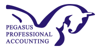 Pegasus professional accounting