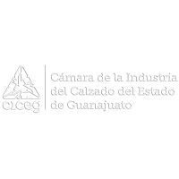 Internacional de calzado, s.a.