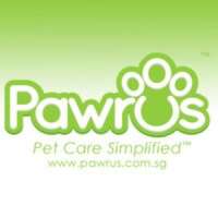 Pawrus singapore