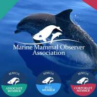 Marine mammal observer association (www.mmo-association.org)