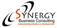 Synergy business consulting & professional services, llc