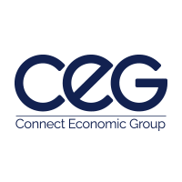 Connect economic group s.r.o.