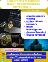 DIGITAL ASSETS RECOVERY TEAM // CRYPTO PANDEMIC HUNTER