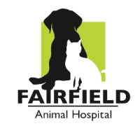 Fairfield road vet hospital