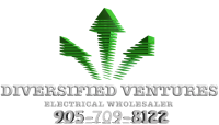 Diversified venture group