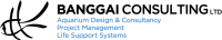 Banggai consulting limited (hong kong)