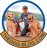 The dog blog
