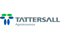 Tattersall consulting llc