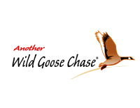 Another wild goose chase, llc