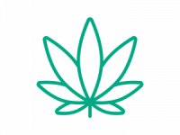 Cannactiva