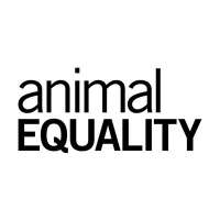 Igualdad animal méxico