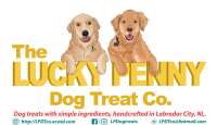 The lucky penny