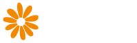 Bloeii advies & ontwikkeling