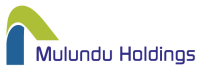 Mulundu investment and holdings