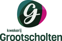 Grootscholten