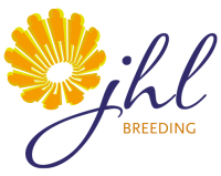 Jhl group