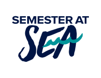 The field semester