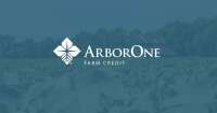 Arbor one mortgage group