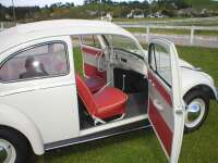 San Luis Auto Interiors