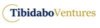 Tibidabo ventures consultants