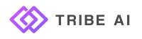 Tribe strategic accountants