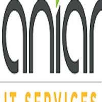 Aniar it services