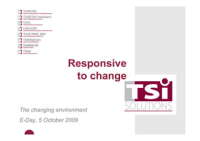 Tsi digital ecommerce