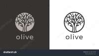 The silver olive tree