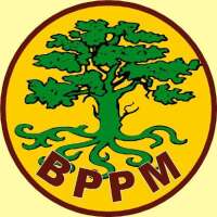 Boyle practical project management (bppm)