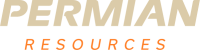 Permian petroleum services inc.