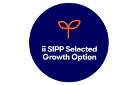 SIPP Investments