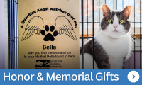 Humane society of chittenden county