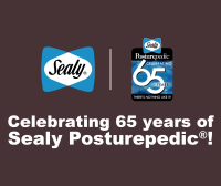 Sealy asia (singapore) pte ltd