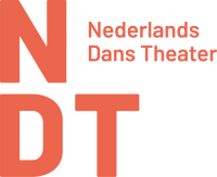 Ndt norddeutsche trockenbau gmbh