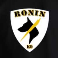 Ronin dog training