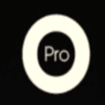 Odoo Programmer