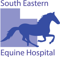 South eastern equine hospital