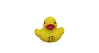 Rubber ducky games
