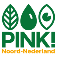 Pinkpolitiek